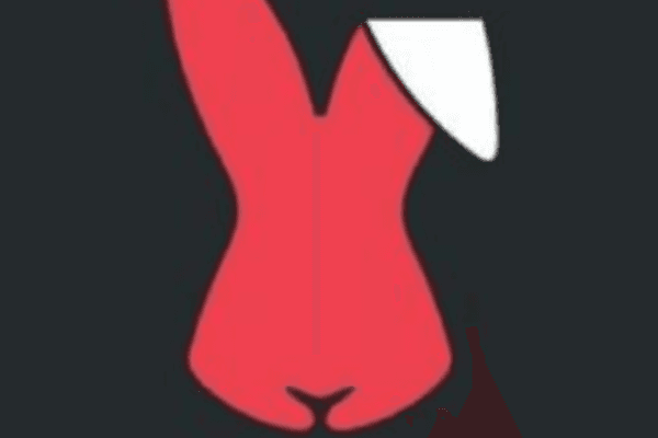 一文了解StarkNet永续DEX RabbitX ：快速、低费用和有序的清算机制