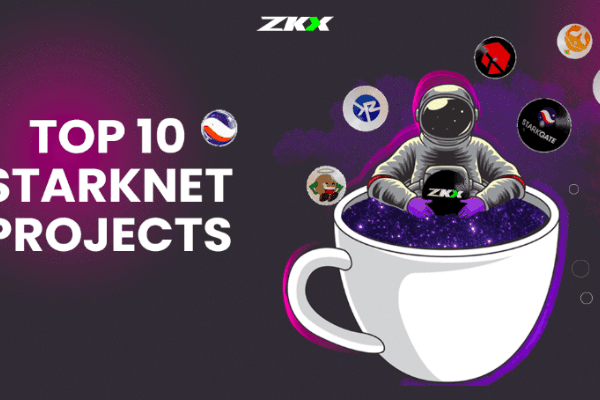 2023年十大Starknet项目一览：钱包、DeFi、跨链桥、稳定币和DID协议