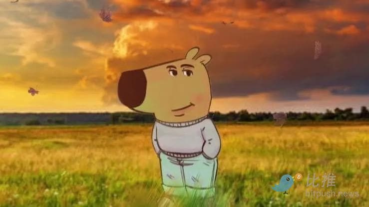 1000 美元变 100 万美元,谁接住了 Chillguy 的泼天富贵?