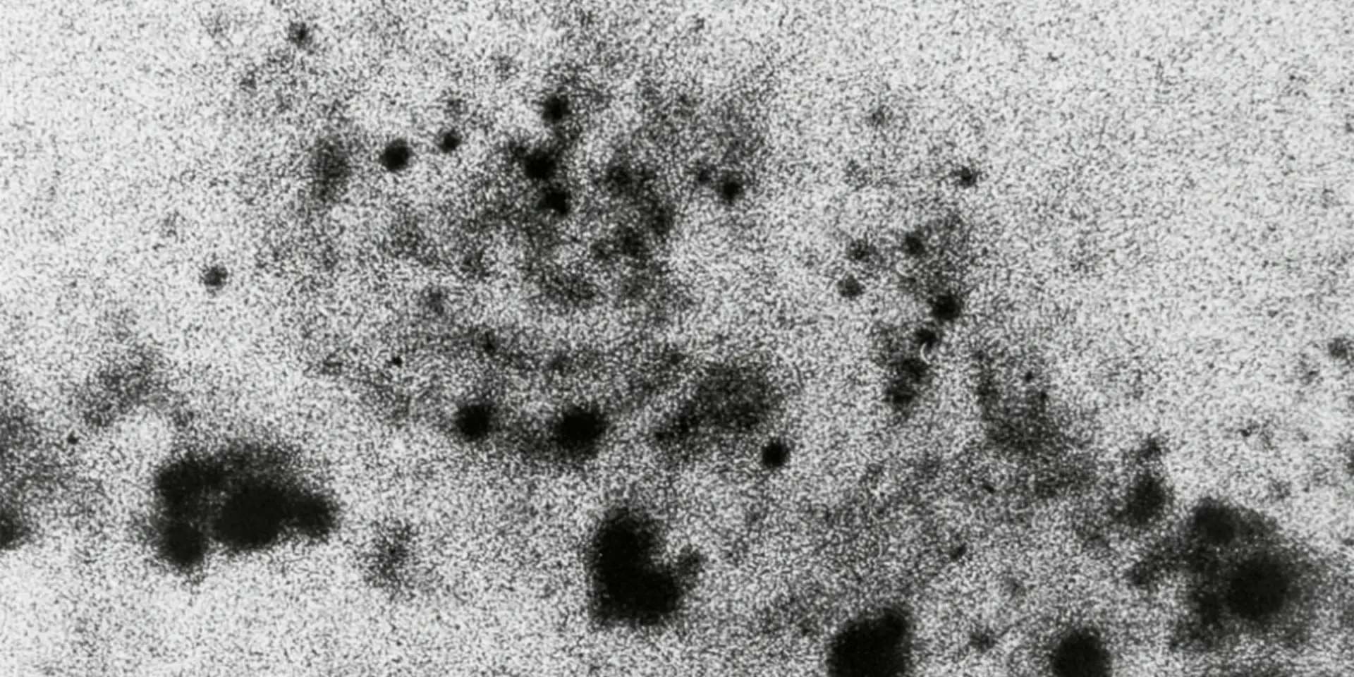 从比特币到 AI 自治,了解加密网络经济的三次进化