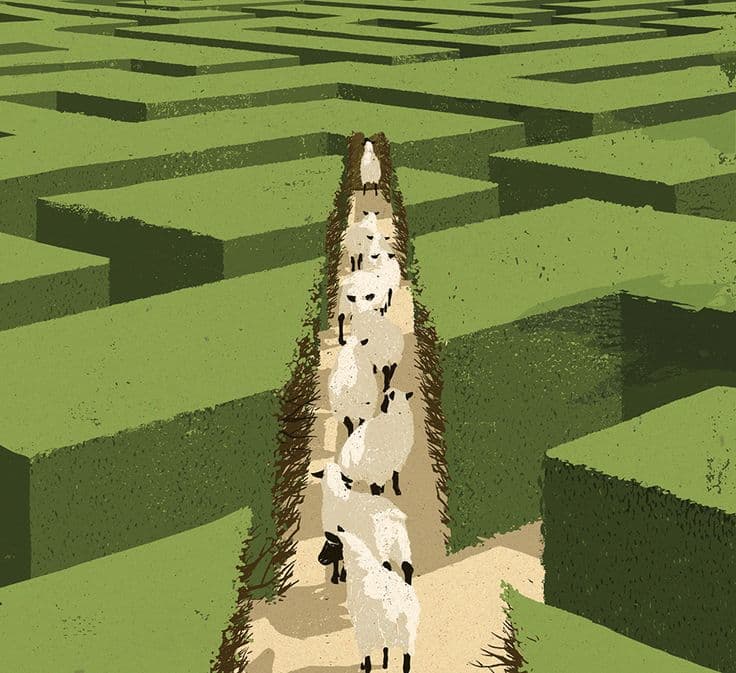 灰度报告:解码加密牛市周期,接下来市场还能涨多久?