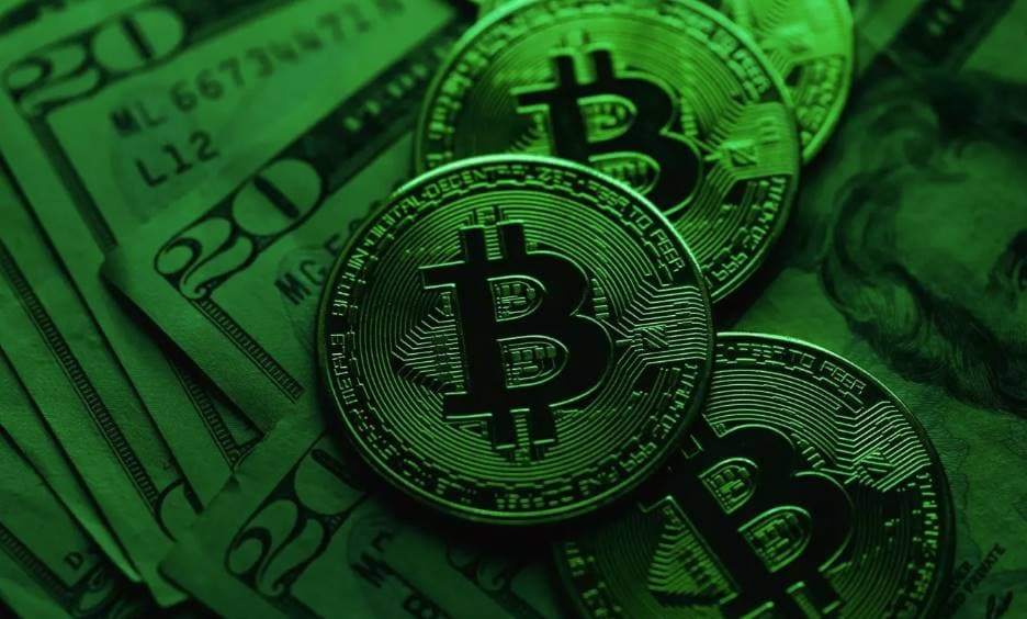 熊市生存之 Waitlist 篇:近期值得申请的十个早期项目资格