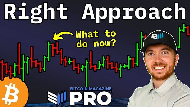 比特币是回调还是新熊市?