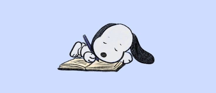 Bitwise:我在加密货币领域最有把握的投资