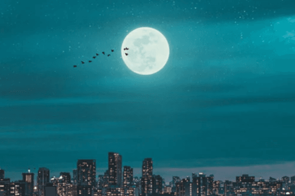 锚定不住的月光:LUNA崩盘记