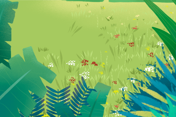 加密基金DeFi分析师:为什么加密市场还未到达底部?